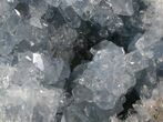 Celestine (Celestite) Geode - Icy Blue Crystals #37088-2